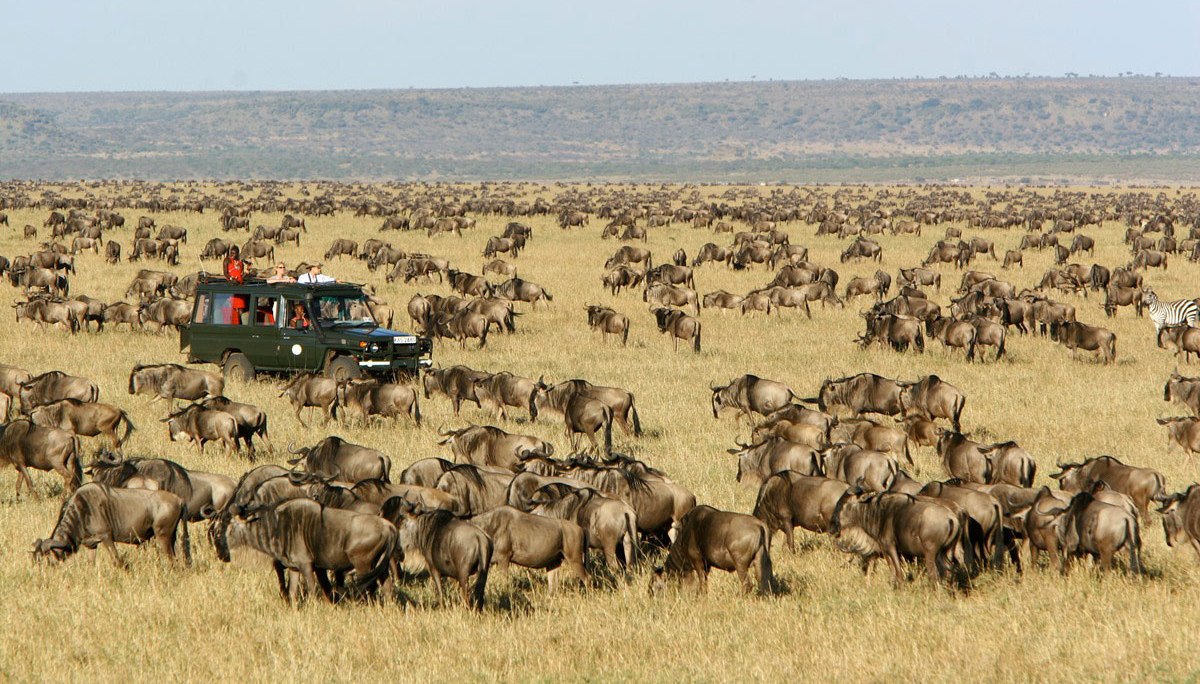 11 Days, 10 Nights Kenya And Tanzania Private Lodging Safari with a free first night at Best Western Plus Hotel Westlands Nairobi