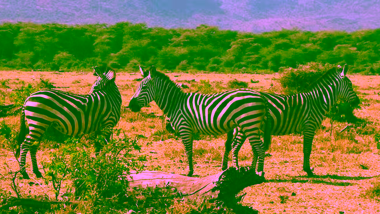 lake-manyara-tanzania-3
