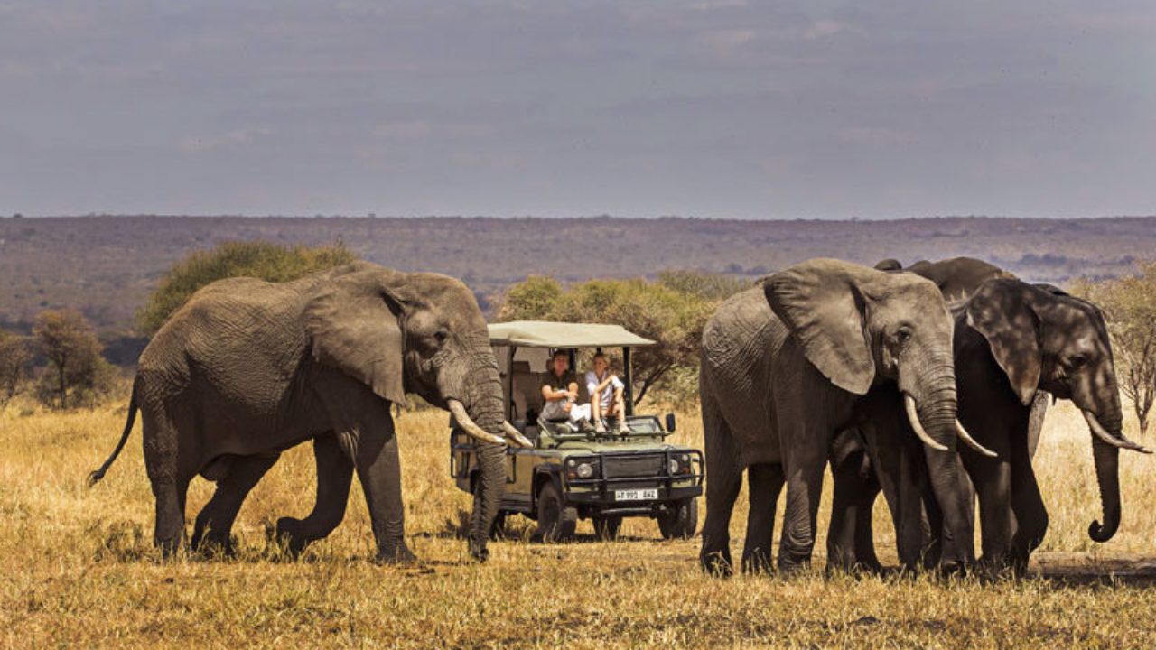 tarangire-1-808×450